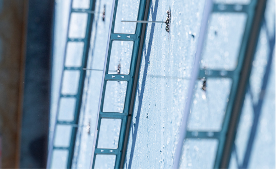 Cladding Support Systems